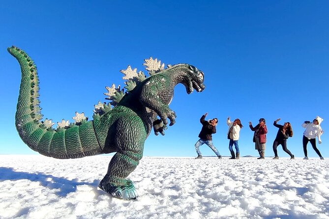 Tour Salar De Uyuni 1 Day From La Paz - Overview of the Tour