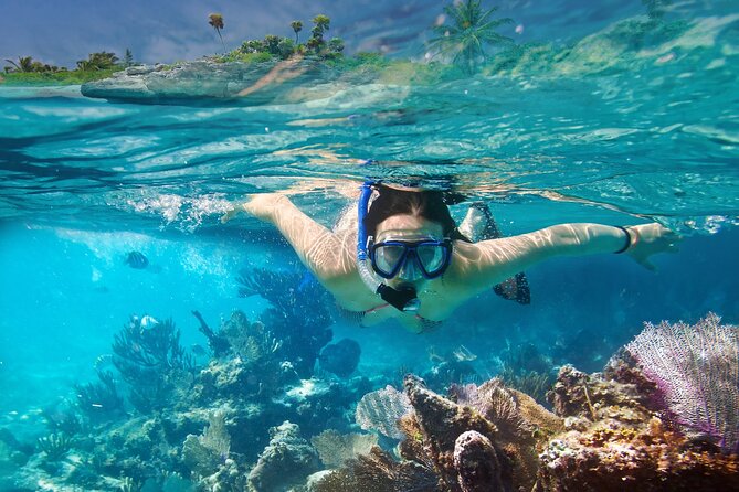 Tour to Catalina Island With Snorkeling From Punta Cana