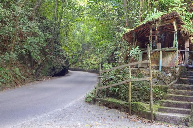 Tour to Fern Gully and Konoko Falls and Park