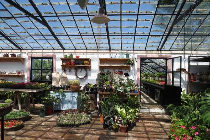 Tour to Gardenia Shevardnadze Flea Market and Tbilisi Old Town - Tour Overview
