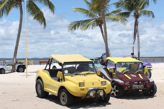 Tour to Mangue Seco With Boat Ride