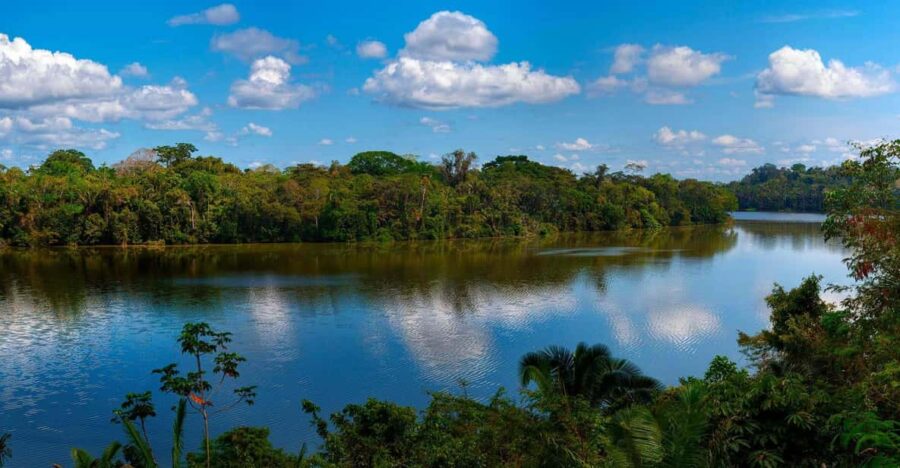 Tour to Tambopata Jungle 2Days + Lodge + Food