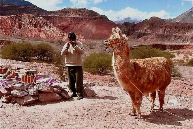 Tour to the Magical Town of Cachi in the Calchaquí Valleys!