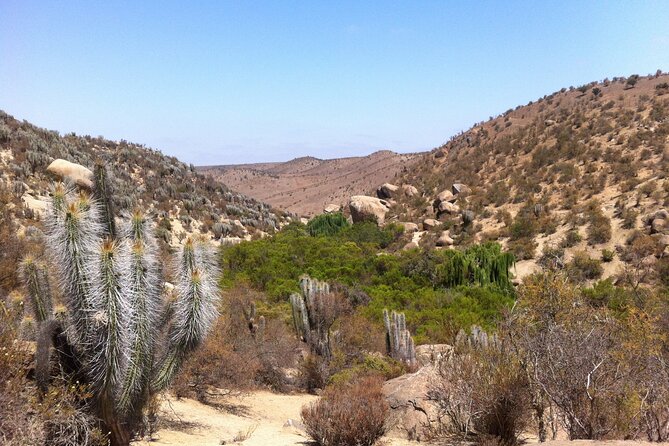 Tour to Valle Del Encanto Archeology, Petroglyphs, Flora, Fauna and Springs