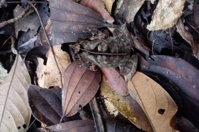 Tours – Peru Connection With Nature Iquitos