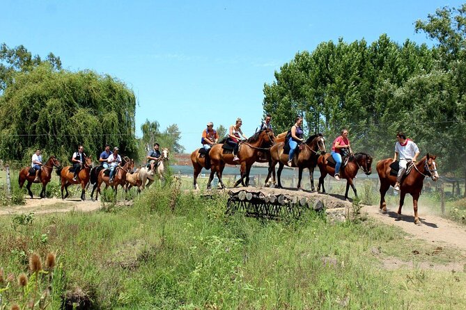 Traditional Gaucho Festival Full Day Tour From Buenos Aires - Tour Overview