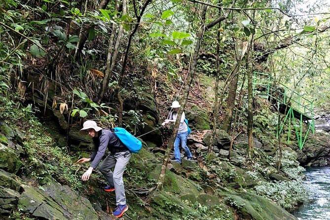 Transfer From Da Nang or Hoi an to Hue via Bach Ma National Park