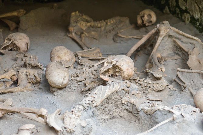 Transfer From Naples to Sorrento With 2 Hours Private Tour in Herculaneum