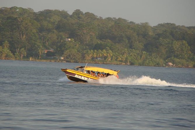 Transfer Puerto Viejo to Bocas Del Toro