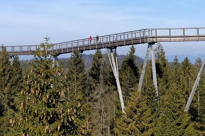 Tree Top Walk in Slovakia & Zakopane Private Tour From Krakow