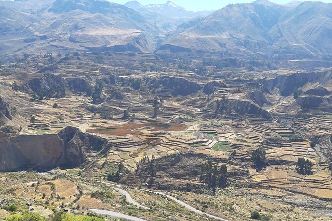 Trekking At The Colca Colca 2day And 1nights