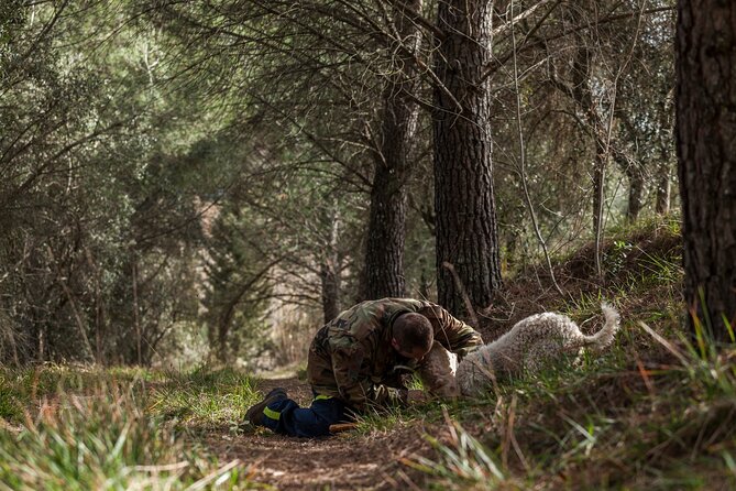Truffle Lunch & Hunting Experience in San Gimignano