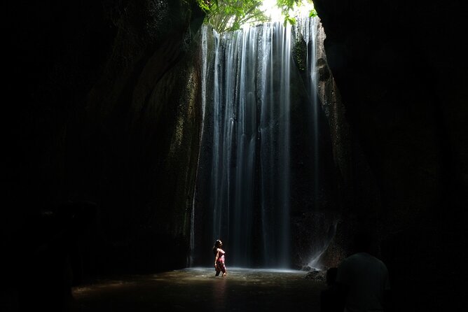 Tukad Cepung Waterfall, Bali Swing & Traditional Village Day Tour