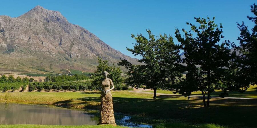 Tulbagh Wines. Private Tour With Winemaker.
