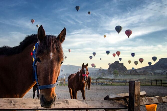 Two Days Tour to Cappadocia With HB Hotel & Transfer From Alanya