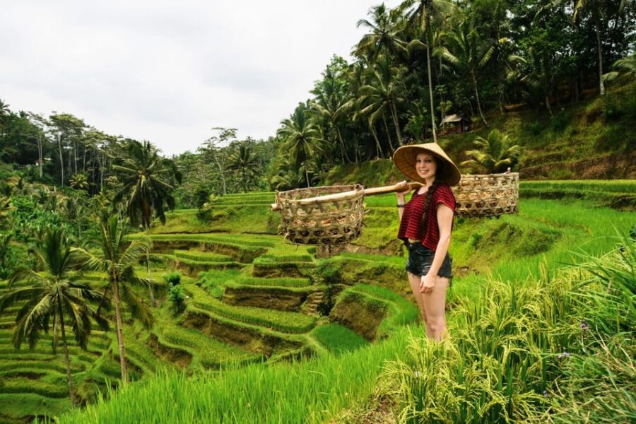 Ubud: Best of Ubud Full-Day Tour With Entry Tickets - Tour Overview and Pricing