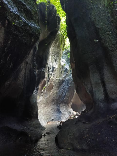 Ubud: Combination Ubud Full Day Trip With Private Guide