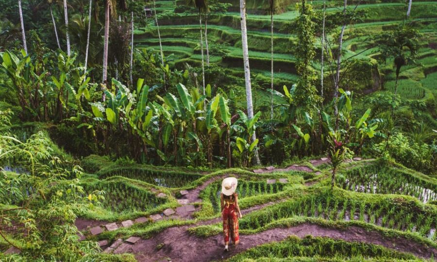 Ubud Enchantment Explorer