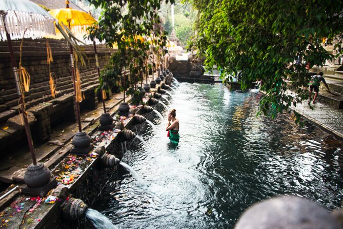 Ubud: Private Full Day Tour (All-in-One Complete) - Inclusions