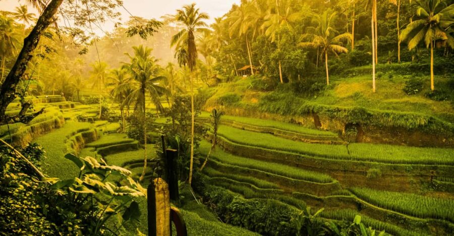 Ubud: Private Fullday Tour Nature & Culture With Transfers