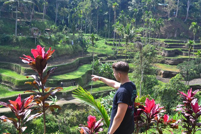 Ubud Private Tours : Costumeize Your Trip