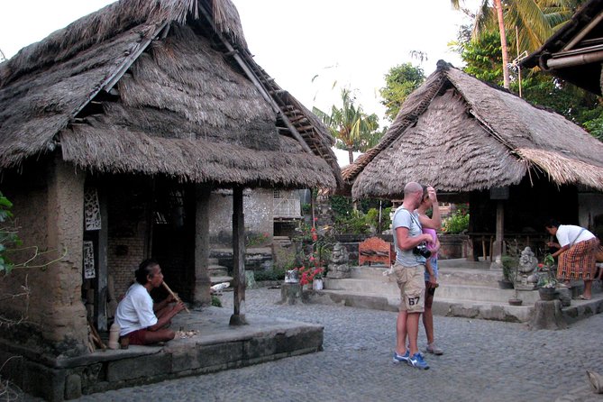 Ubud Swing and Ubud Village Tour