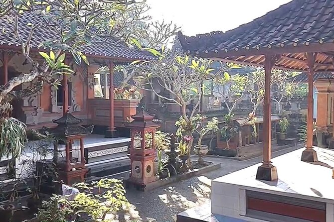 Ubud Tour With Bali Jungle Swing Package Inclusive
