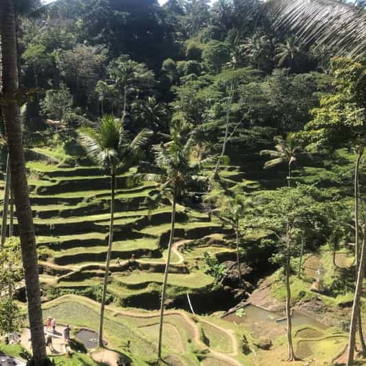 Ubud: Ubud Day Tour With Rice Terraces, Temple, Etc