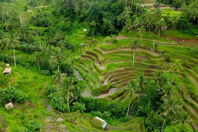 Ubud Waterfall and Uluwatu Sunset Tour
