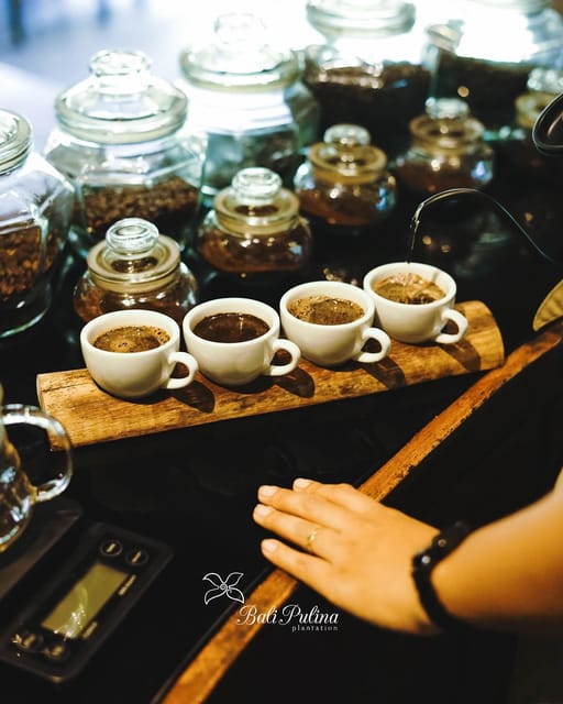 UBUD : Waterfall, Rice Terrace, Temple and Luwak Coffee Tour - Tour Overview