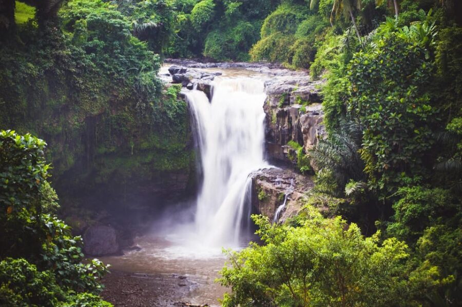 Ubud: Waterfall, Rice Terrace & Temple Private Day Tour