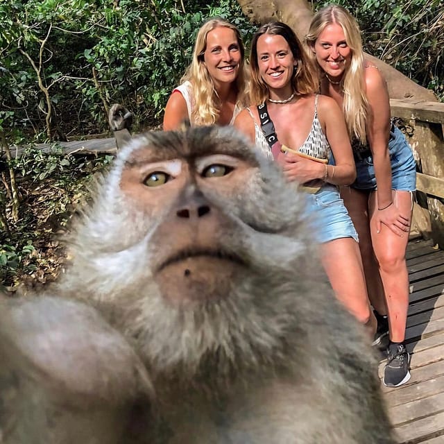 Ubud: Waterfalls, Rice Terrace & Monkey Forest