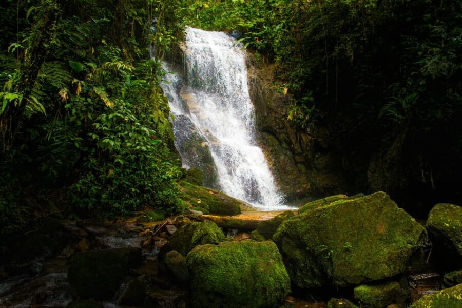 Ubud: Waterfalls, Rice Terrace & Monkey Forrest Private Tour