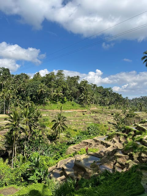 Ubud:Monkey Forest, Rice Terraces, Water Temples, Waterfalls