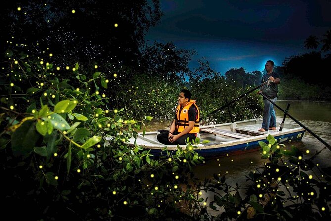 Unbelievable Firefly Kuala Selangor Day Tour