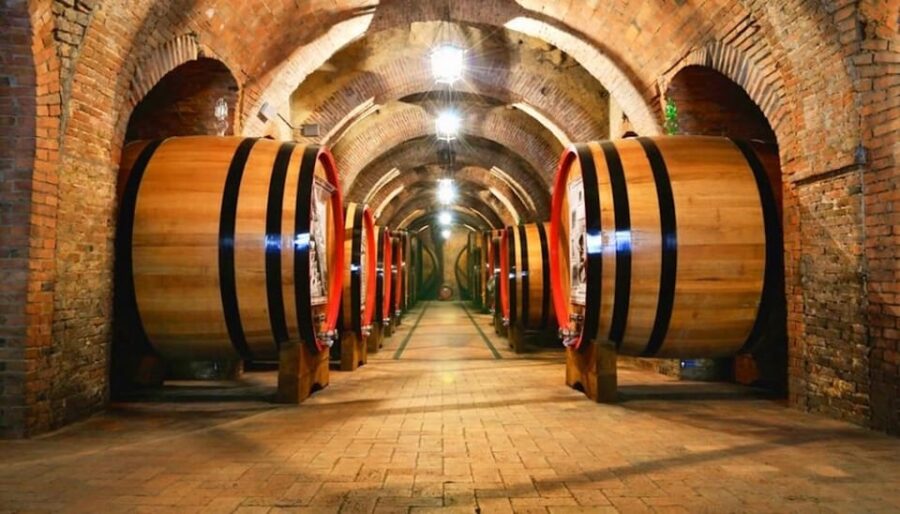 Undurraga Wine Tour