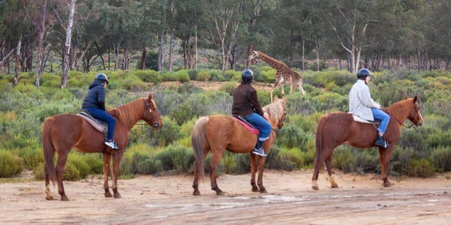 7 Best Tours In Paarl