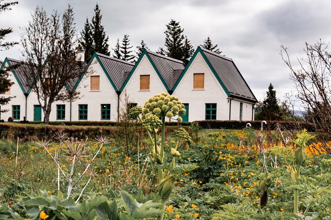 Unforgettable Full-Day Golden Circle Private Tour From Reykjavík