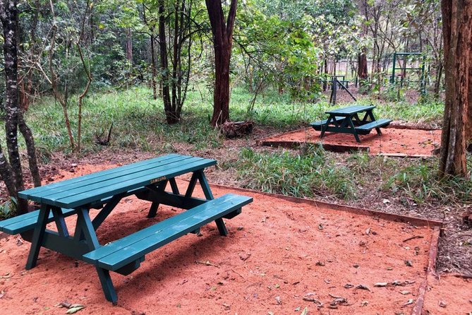 Urban Forest Tour in Nairobi