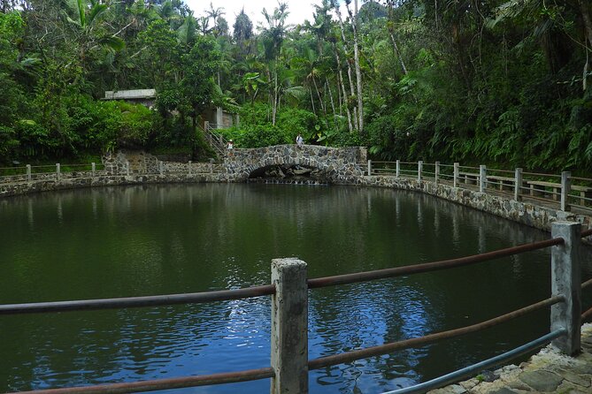 USDA El Yunque National Forest and Luquillo Beach Tour