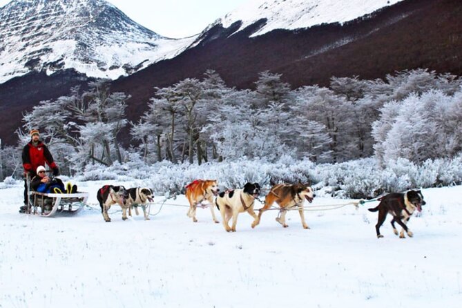 Ushuaia: Full Day Snow: Sledding With Huskies Snowmobile 4x4