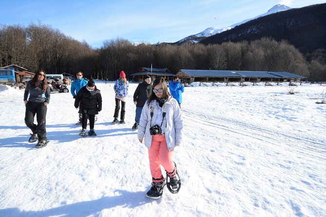 Ushuaia: White Adventure in Sleighs With Huskys