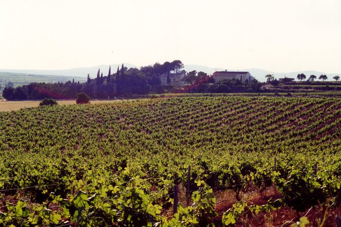 2 Best Tours In Valencia Province