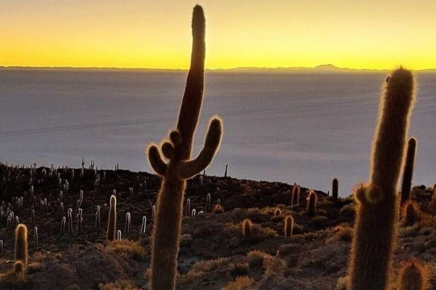 Uyuni: 1-Day Salt Flats and Desert Adventure Tour