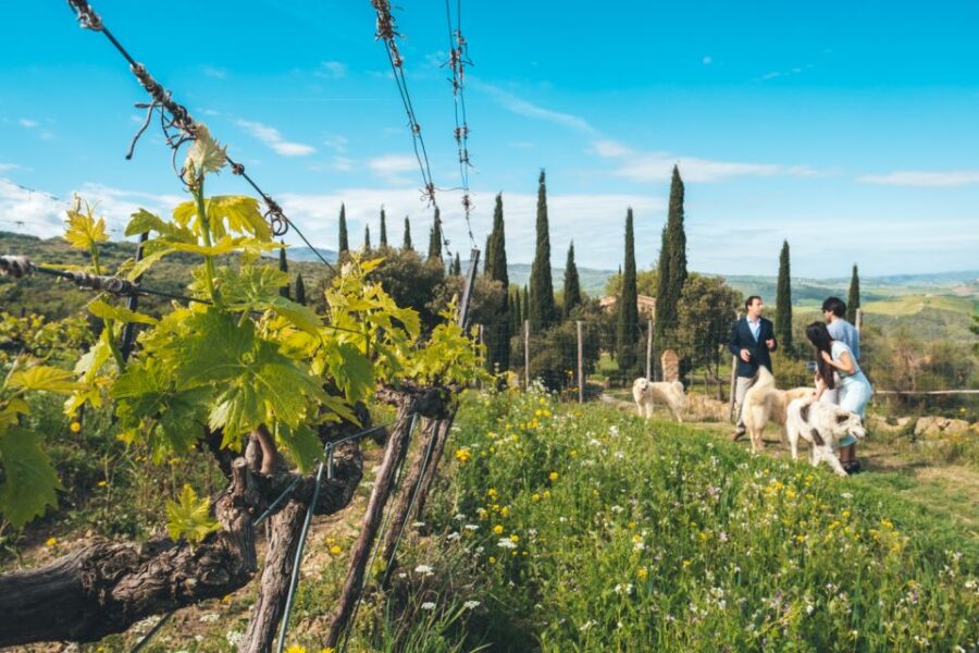 Val Dorcia: Wine and Food Tasting at a Podere - Overview of the Experience