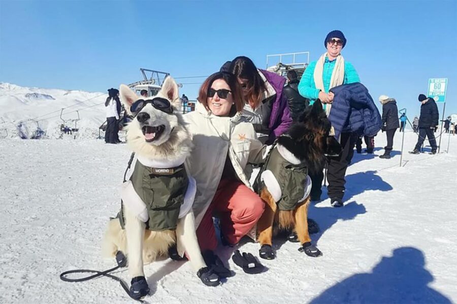 Valle Nevado and Farellones Small-Group Tour
