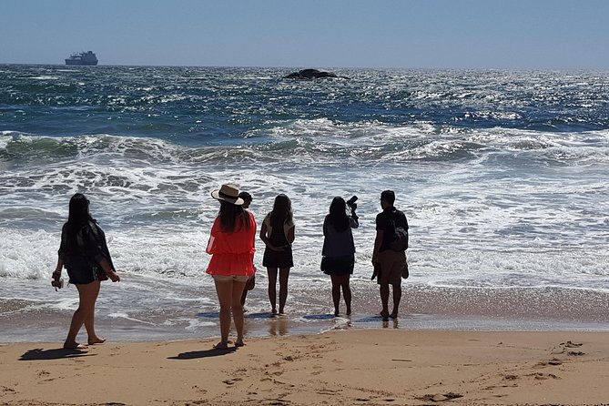 Valparaiso and Vina Del Mar Excursion