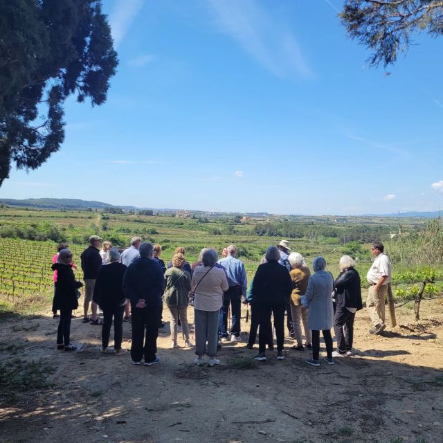 Valpolicella: Guided Wine Tour With Tastings of Local Wines