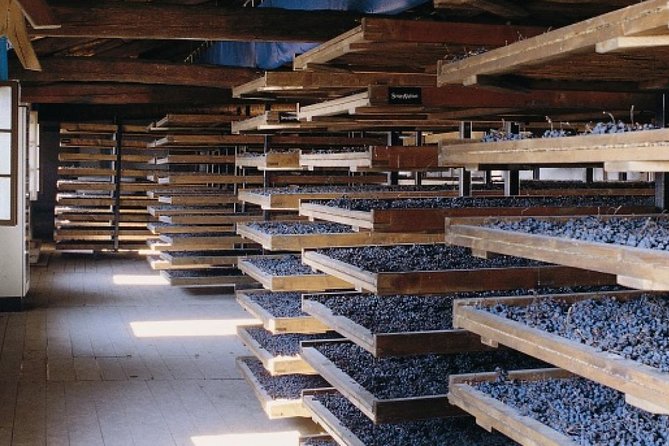 Valpolicella – the Wine Paradise