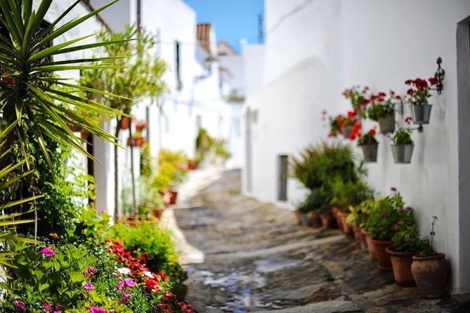 Vejer De La Frontera & Bolonia Beach Private Tour From Cadiz